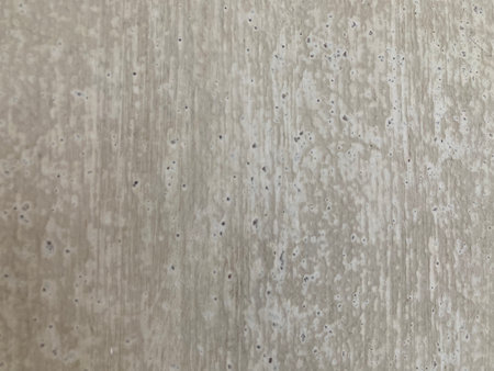 The white cement wall was covered with little holes and dirty gray water stainsの写真素材