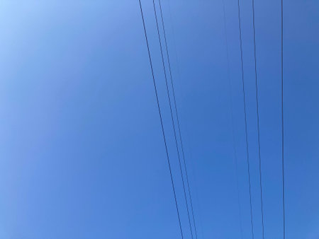 The sky was very clear and blue, with no clouds, and many black power lines were strung across the...