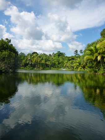 Reflection of cloudy in pond in Malitime resort, Krabi province, Thailandの写真素材