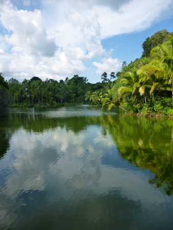 Reflection of cloudy in pond in Malitime resort, Krabi province, Thailandの写真素材