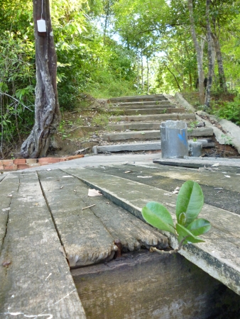   KHAOA KANAB NAM   is mountain compress on two opposite side of river in Krabi that near Malitime resort の写真素材