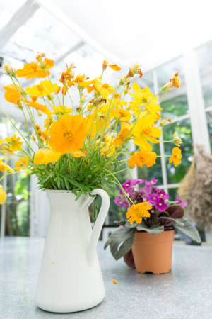 Decorative yellow flowers in the white jug under the glass houseの写真素材