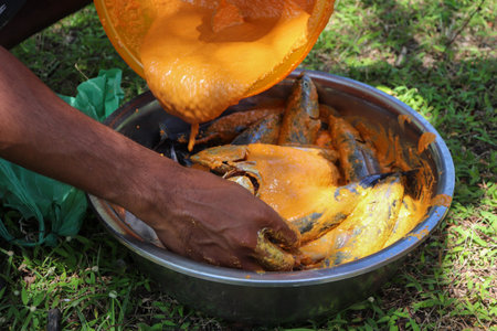 Feeding fish with honey in a bowl. Thai traditional food.の写真素材