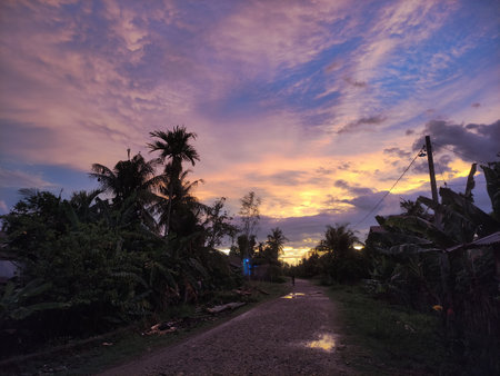 Sunset in the countryside of the island of Borneo.の写真素材