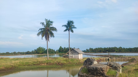 coconut tree and house on the river bank with blue sky