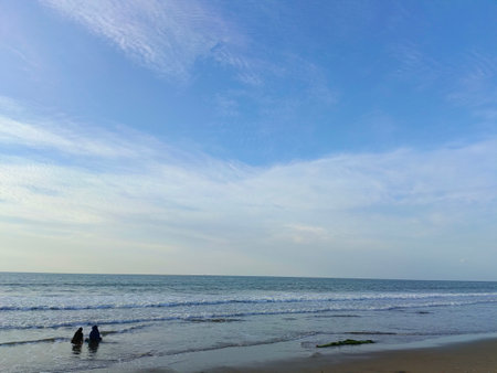 Seashell on the sand. Selective focus. nature.の写真素材