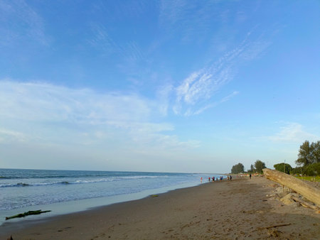shell on the palm of the hand on the background of the seaの写真素材