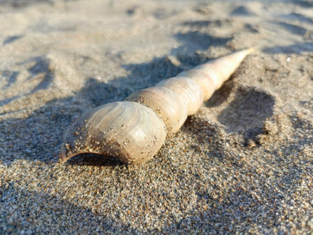 closeup of photo with shallow depth of fieldの写真素材