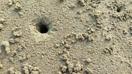 Close-up of a hole in the sand of a beach.
