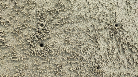 Sand texture with small holes in the form of an abstract background.の写真素材