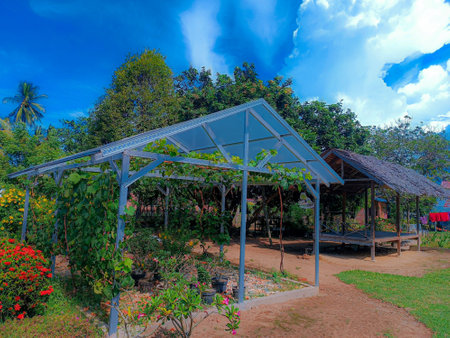 Greenhouse in garden with blue sky and white cloud background, Thailand.の写真素材