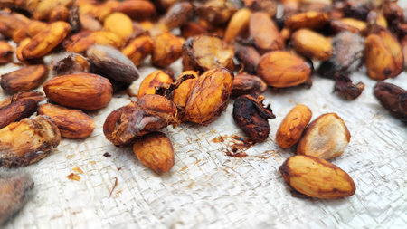 Cocoa beans on wooden background. Cocoa is a healthy food.の写真素材