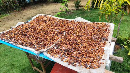 Dried dates on the market in Bali, Indonesia.の写真素材