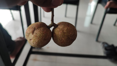 Man's hand holding a fruit in the kitchen.の写真素材