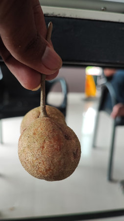 pear, stock photoの写真素材