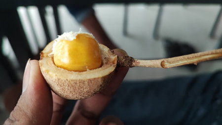 Fresh sapodilla fruit in the hand of a young man.の写真素材