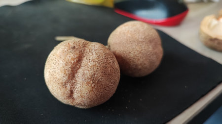 Korean traditional food glutinous rice cake, Sesame glutinous rice cakeの写真素材