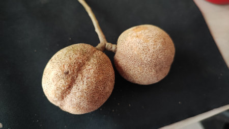 Santol fruit on a black background. Close-up.の写真素材