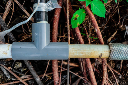 Plastic water pipe with drip irrigation system on tree in garden.