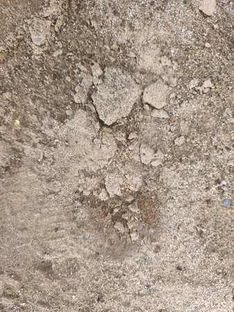 Detailed top-down shot of a natural sandy surface featuring a mix of fine sand, small gravel, and irregular chunks of dry earth. It highlights a rough, granular texture.の写真素材