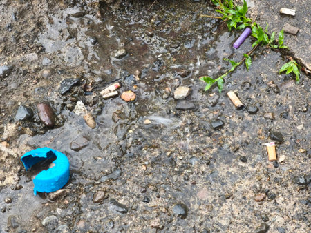Rain puddles on a dirty, textured urban surface, featuring scattered debris and small green weeds. The wet ground reflects a neglected outdoor environment.の写真素材