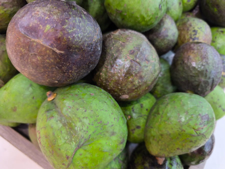 Close up shot of a pile of fresh avocados featuring various stages of ripeness, from vibrant green to darker purplish skinsの写真素材
