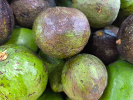 Vibrant close up of fresh avocados displaying a mix of green and developing purplish brown skins, piled together in a marketの写真素材