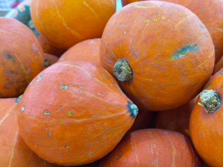 Numerous vibrant orange pumpkins are closely stacked, showcasing their natural texture and rich color These gourds are a symbol of autumn and the harvest seasonの写真素材