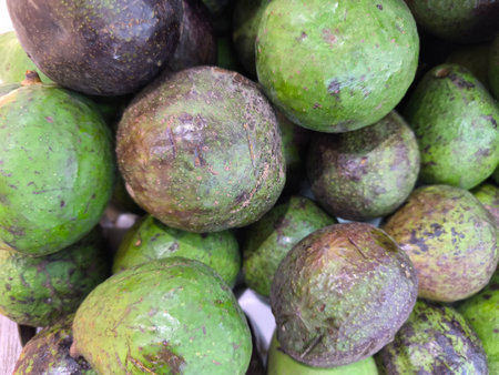 Numerous fresh avocados display varying shades of green and dark purple, indicating different stages of ripeness A healthy, natural food optionの写真素材