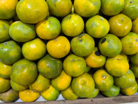 Display of freshly harvested oranges, showcasing their natural spectrum from vibrant green to rich yellow hues, piled abundantlyの写真素材