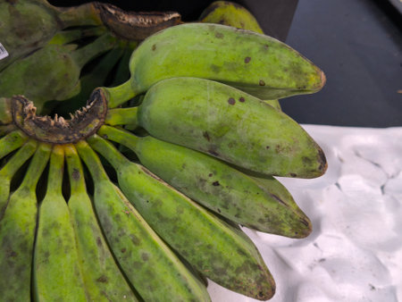 Close up shot of a large bunch of green, unripe bananas, displaying natural imperfections and dark spots on their skins Arranged in a typical cluster, ready for ripeningの写真素材