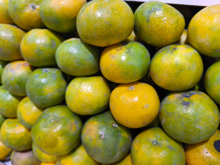Vibrant green and yellow oranges are piled high, showcasing their textured peels and fresh appearance This close up captures the natural hues of citrus fruitの写真素材