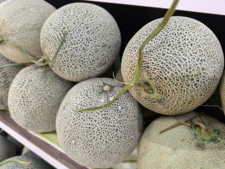 Display of fresh cantaloupe melons showcasing their unique netted skin pattern, with some still having stemsの写真素材