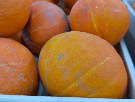 Vibrant orange pumpkins are nestled together in a white crate, showcasing their natural textures and warm harvest colorsの写真素材