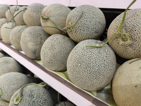 Many fresh cantaloupe melons with their characteristic netted green skin are neatly arranged on display shelves in a storeの写真素材