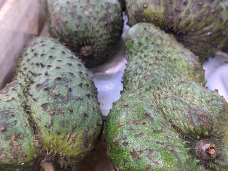 Several tropical soursop fruits, also known as graviola, showcase their distinctive spiky green skin Ready for consumption or juice making, these vibrant fruits offer healthy nutrientsの写真素材