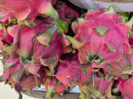 Vibrant pink dragon fruits are freshly piled, highlighting their unique green scales and tropical appeal These exotic fruits offer healthy and refreshing produceの写真素材