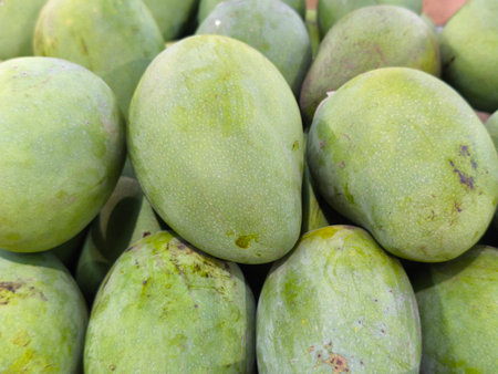 Piles of fresh, vibrant green mangoes displaying their unique texture and color These tropical fruits are ready for culinary useの写真素材