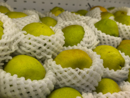 Freshly harvested greenish yellow pears, each protected by a white foam net, are neatly arranged for sale in a marketの写真素材