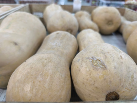 Several light colored butternut squash are arranged in a crate, ready for purchase at a market Their smooth, pale skins show minor natural blemishesの写真素材
