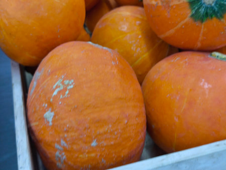 Arrangement of vibrant orange pumpkins freshly harvested, showcasing their natural colors and textures in a rustic wooden crateの写真素材