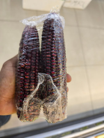 Persons hand holds two vibrant purple corn cobs, tightly wrapped in clear plastic, for sale.の写真素材