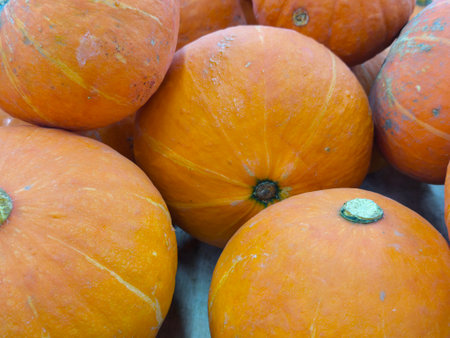 Close up view of vibrant orange pumpkins, freshly harvested for the autumn season Displays natural textures and warm colorsの写真素材
