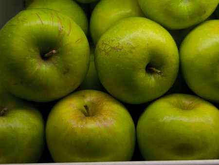 Close up view of fresh, ripe green apples with natural skin imperfections, neatly arranged to fill the frame Their vibrant color and texture are highlightedの写真素材