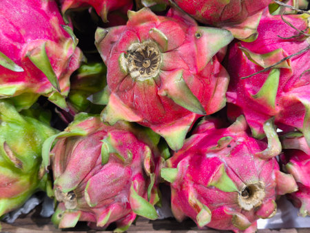 Vibrant pink dragon fruits, also known as pitaya, with distinct green scales are closely stacked, showcasing their fresh textures and exotic appearanceの写真素材