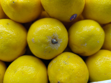 Vibrant yellow lemons with textured skin are piled closely together, showing their fresh appearance Perfect for healthy cooking or refreshing drinksの写真素材