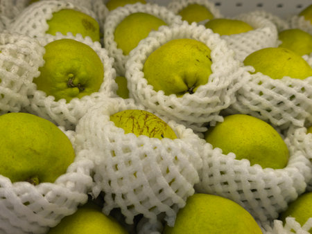 Bright green pears are carefully displayed, each encased in a white foam protection net, ready for purchase in a marketの写真素材