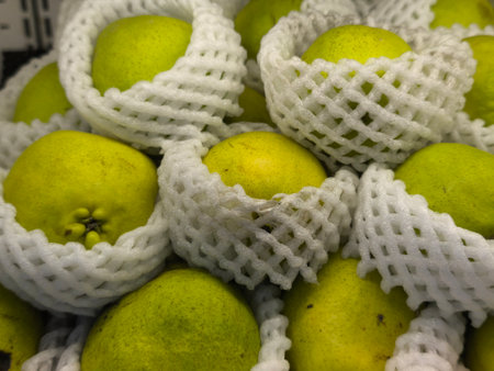 Bright green pears individually wrapped in white foam protection nets, piled closely together as fresh produce Shows a close up textureの写真素材