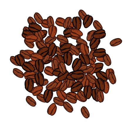 coffee beanのイラスト素材