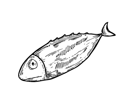 sketchy raw fishのイラスト素材